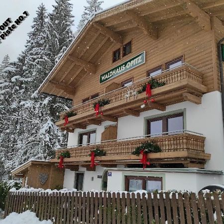 Apartment Waldhaus Opitz Zell am See Zewnętrze zdjęcie