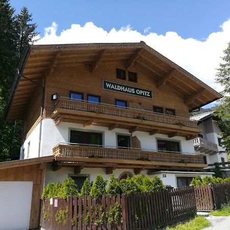 Apartment Waldhaus Opitz Zell am See Zewnętrze zdjęcie